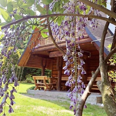 U Leona Villa Gorlice Eksteriør bilde